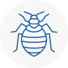 Bed Bug Extermination In Burnley